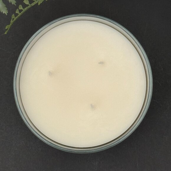 BBW Blue Icelandic Waters (Deep Blue Sea) Bath & Body Works 3 Wick Candle - Picture 7 of 10